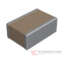 1825Y0250681FCT Image